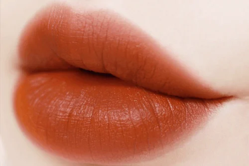 Phun môi màu nâu đỏ