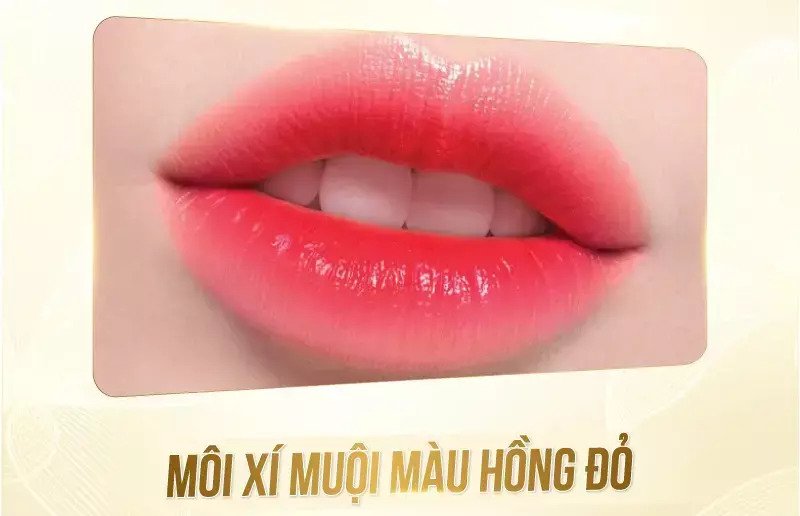 Phun môi xí muội màu hồng đỏ